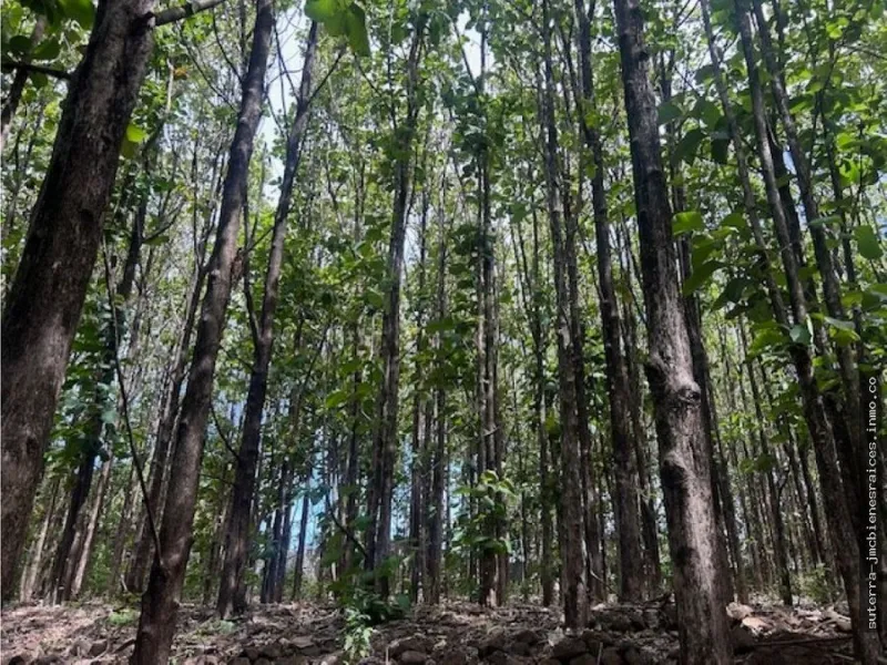 Quinta en Turrucares · 4